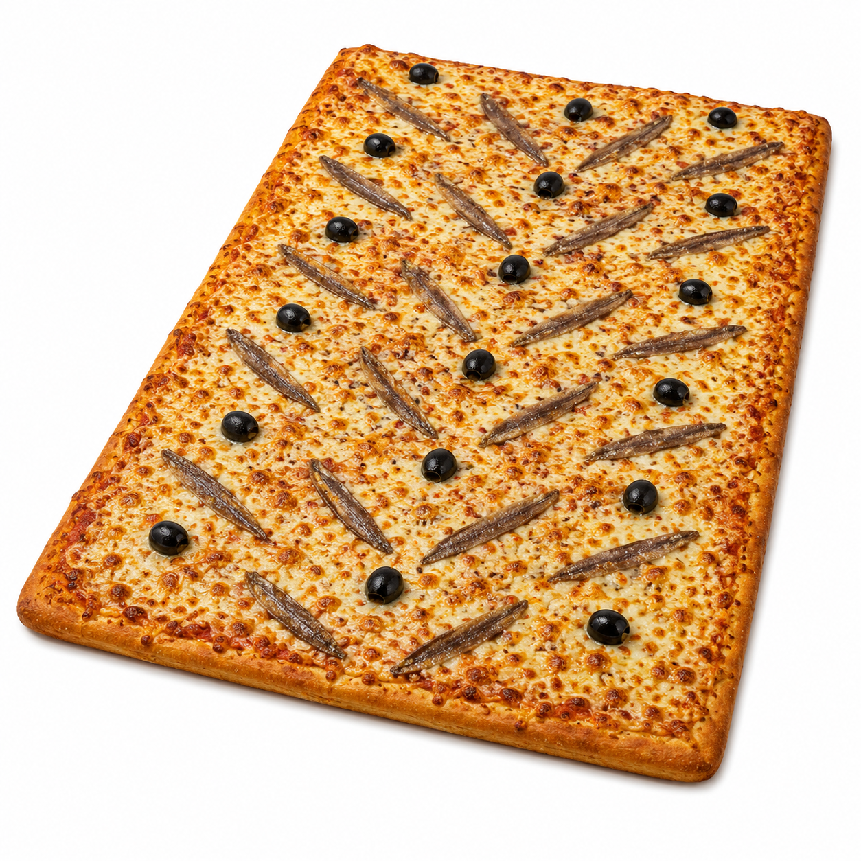 enchois géante
